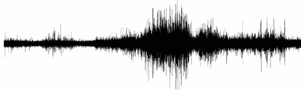 Seismische Messdaten vom Orkan Kyrill
