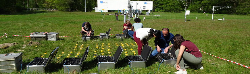 Masterstudenten arbeiten im Feld an einer geophysikalischen Messung